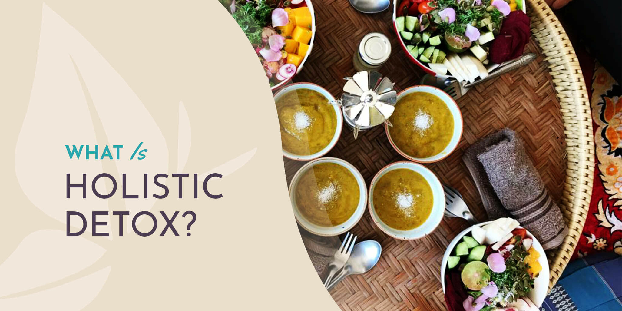 WhatIsHolisticDetox