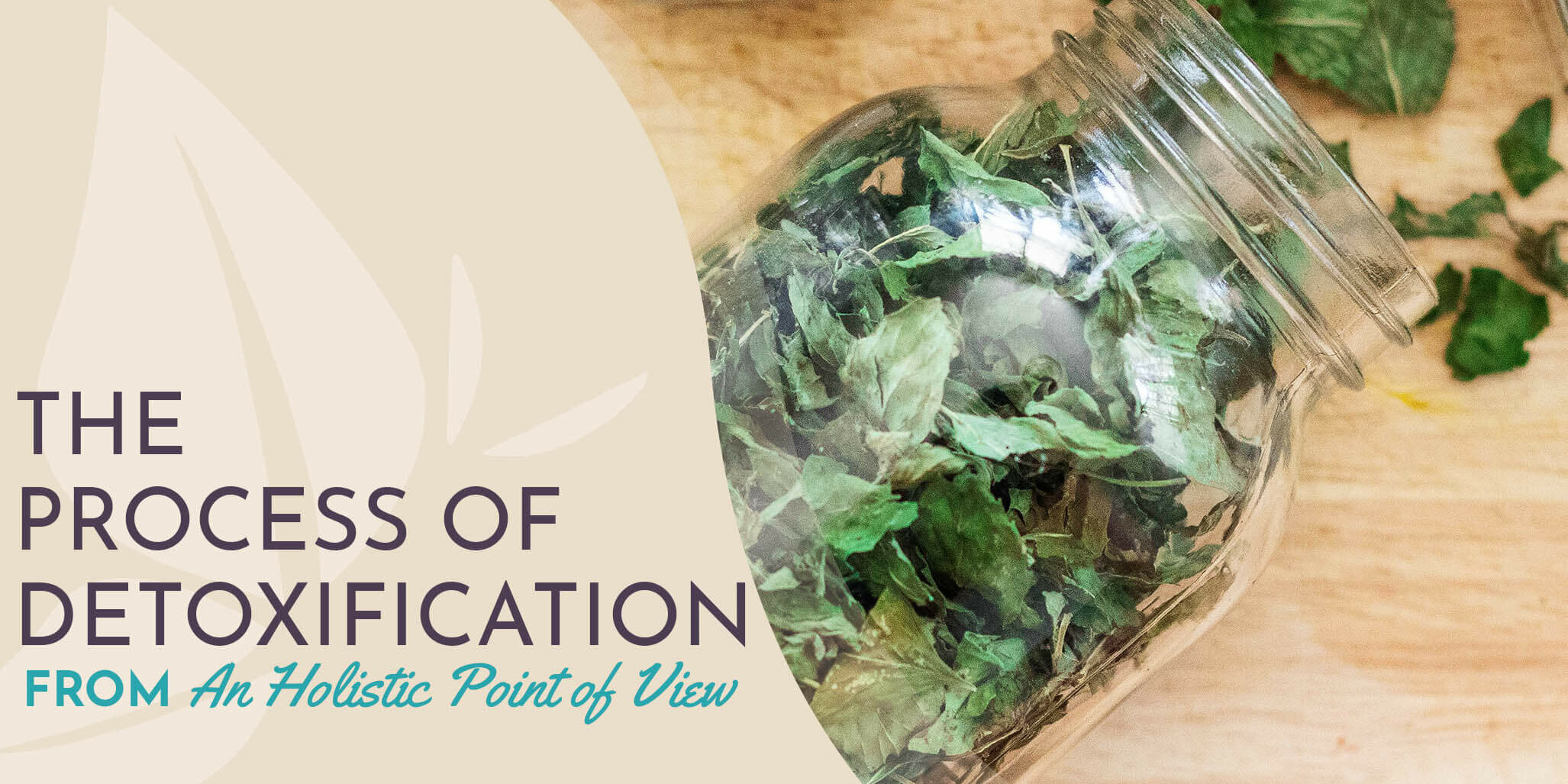 ProcessOfDetoxification