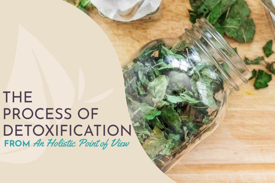 ProcessOfDetoxification