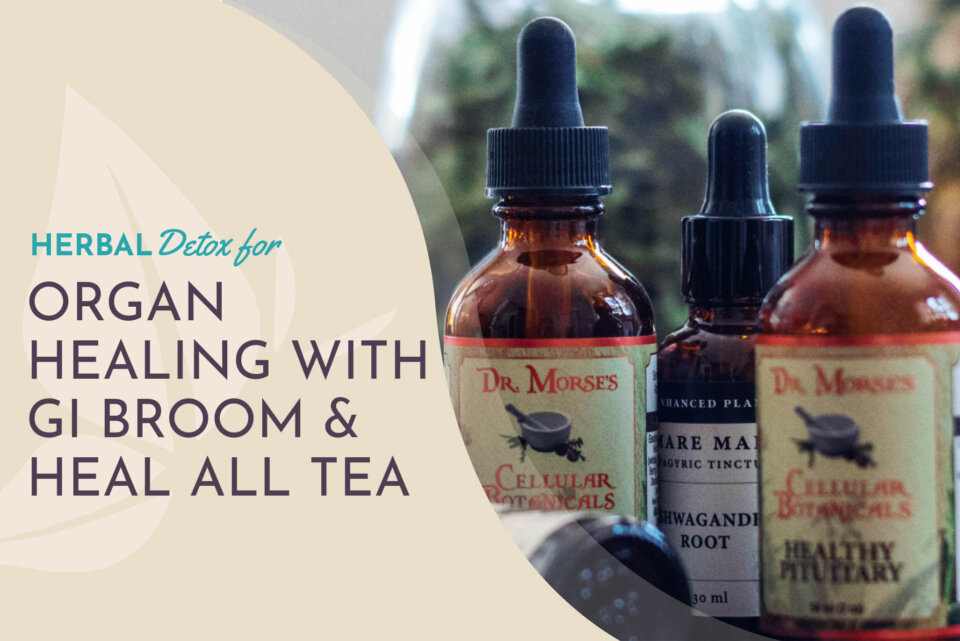 HerbalDetoxOrganHealing