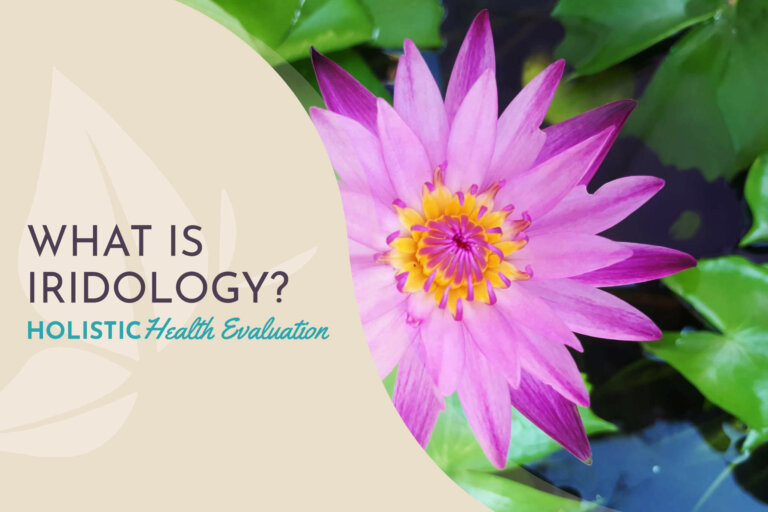 WhatIsIridology
