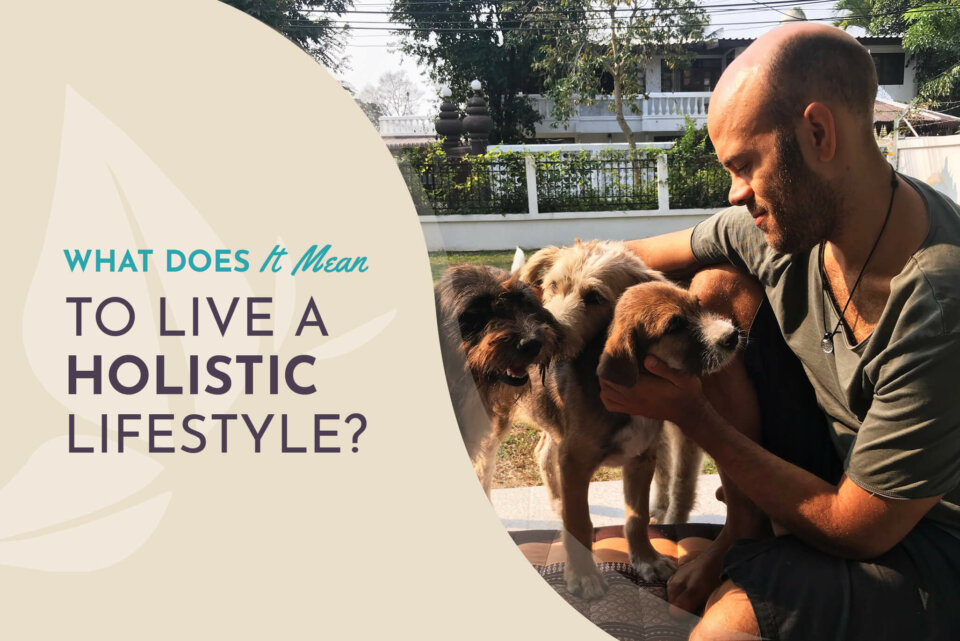 WhatMeanLiveHolistic