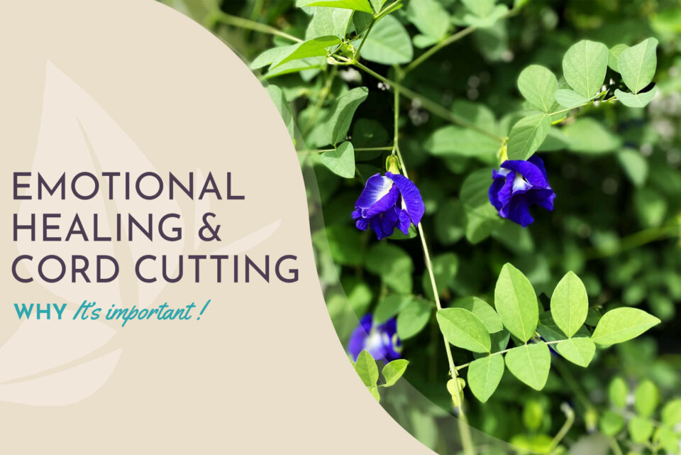 EmotionalHealingCordCutting