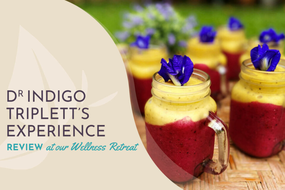 DrIndigoExperience