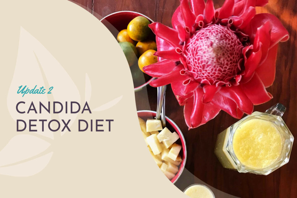 CandidaDetoxDiet2