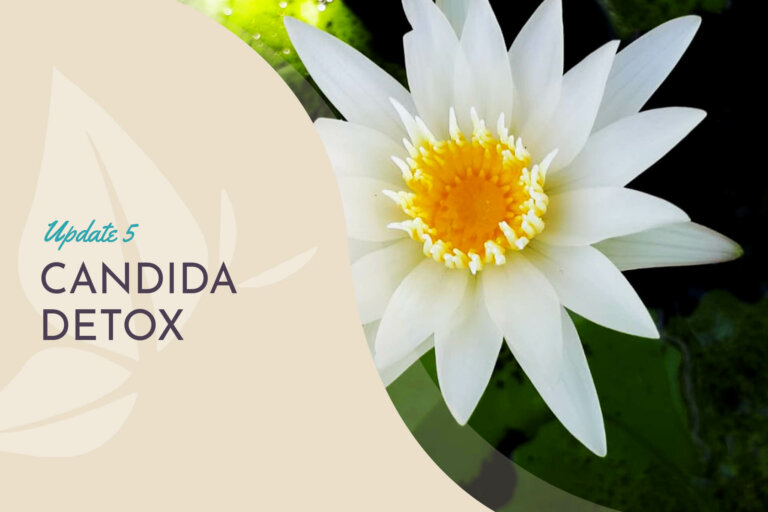 CandidaDetox5