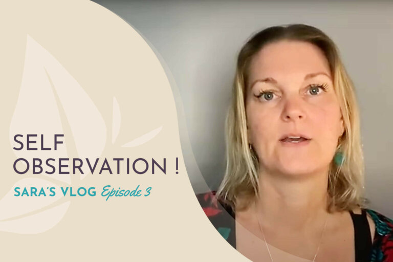 SelfObservation