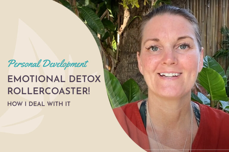 EmoDetoxRollercoaster BLOG