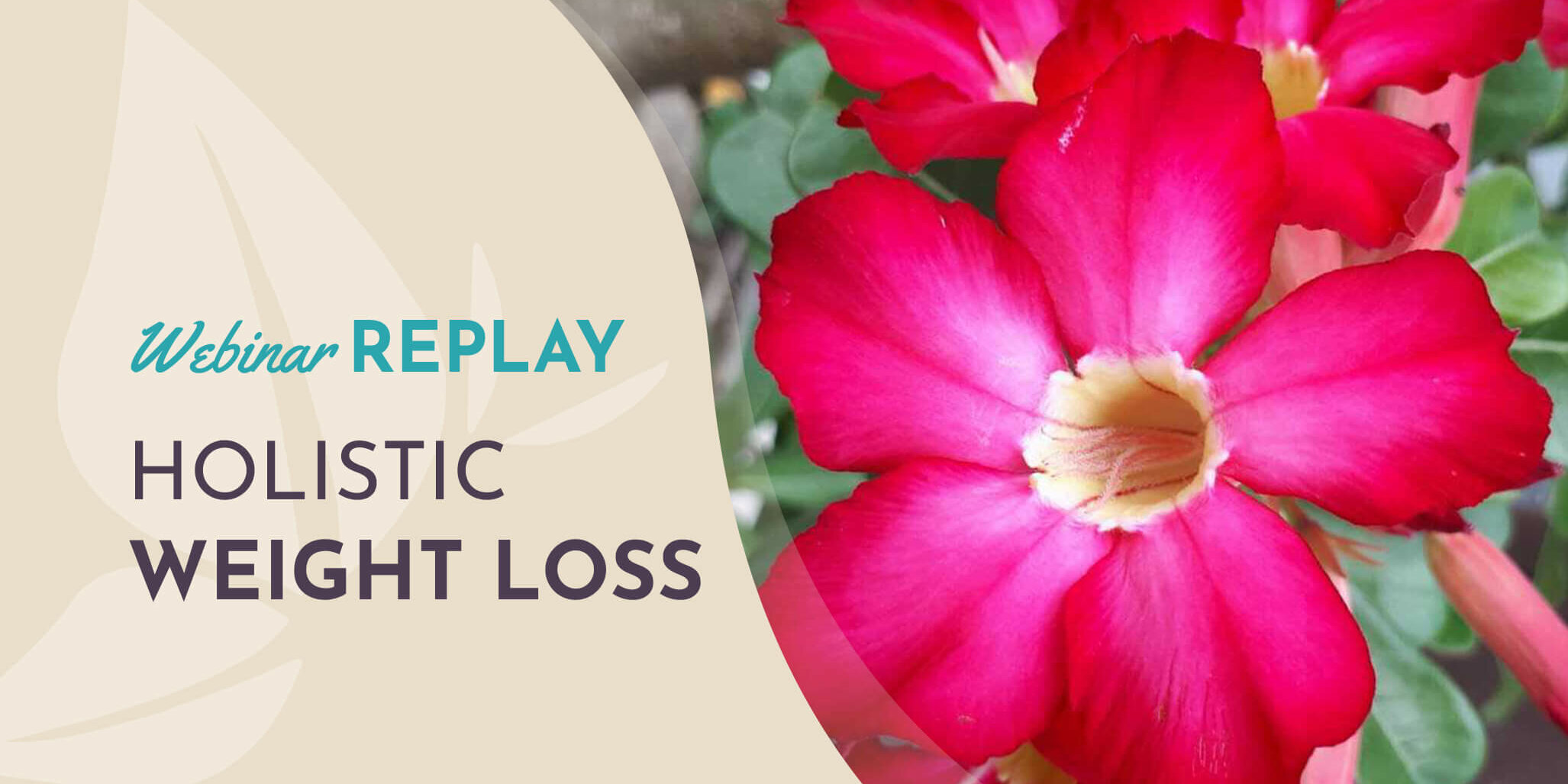 Holistic Weight Loss