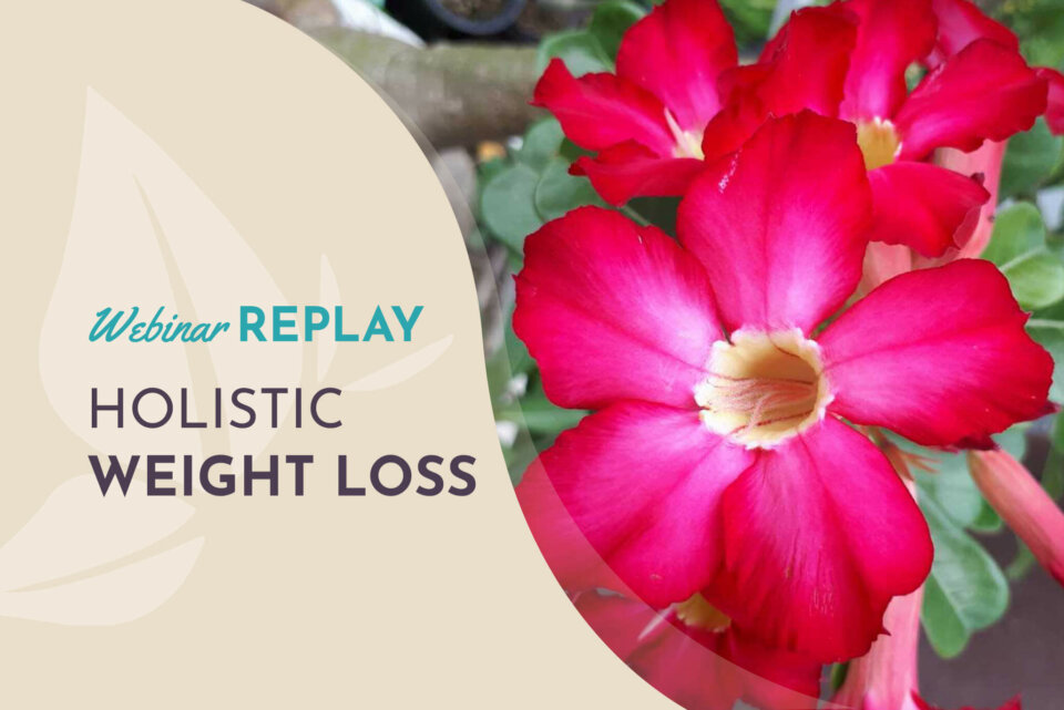 Holistic Weight Loss