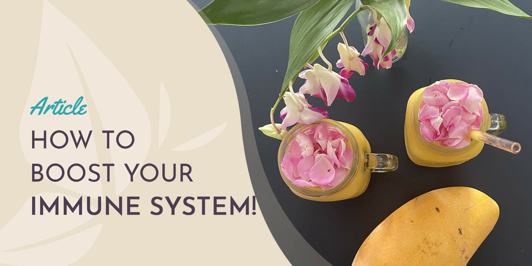 How to Boost your Immune System! How to Boost your Immune System!