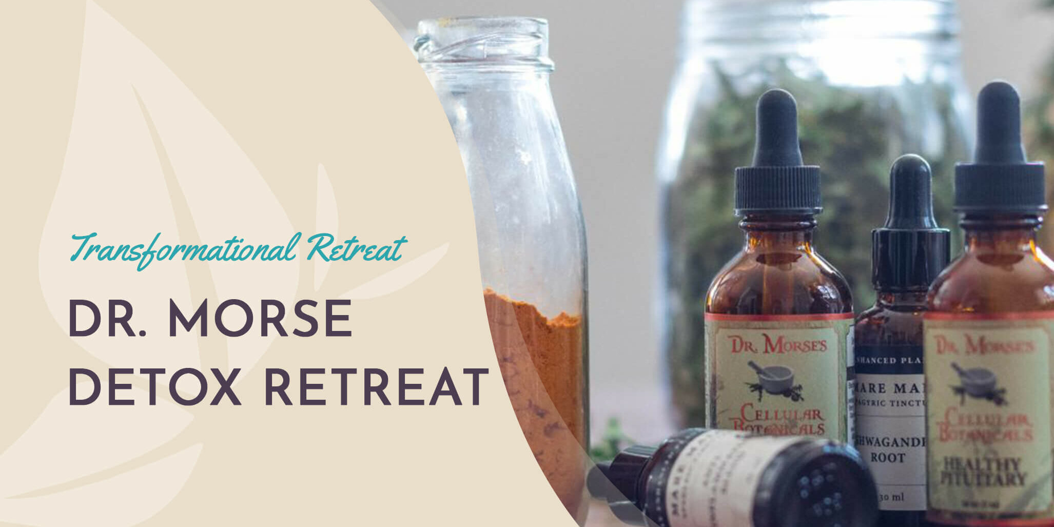DR. MORSE DETOX RETREAT BLOG DR. MORSE RETREAT
