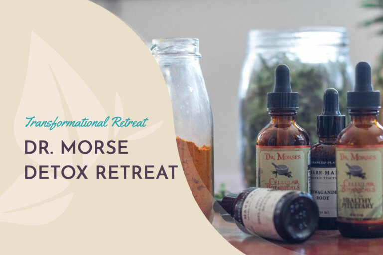 DR. MORSE DETOX RETREAT BLOG DR. MORSE RETREAT