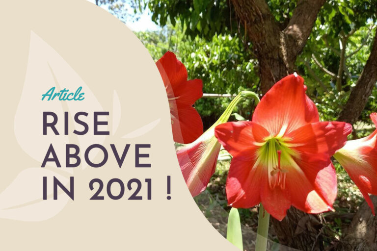 RiseAbove2021 (1)